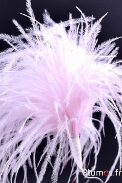Plumet autruche avec anneau - ht 18-20 cm - rose tendre